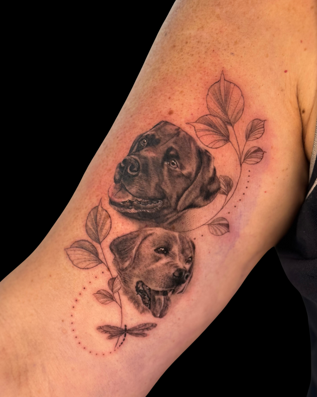 Pet Portraits & Pawprints