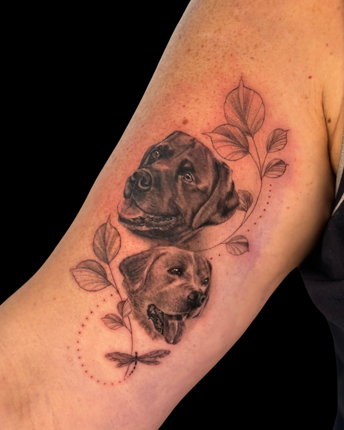 Pet Portraits & Pawprints
