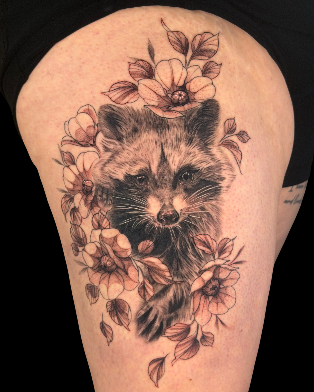Animals & Nature