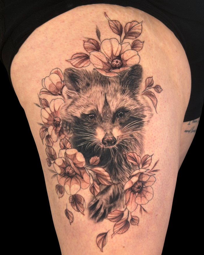 Animals & Nature