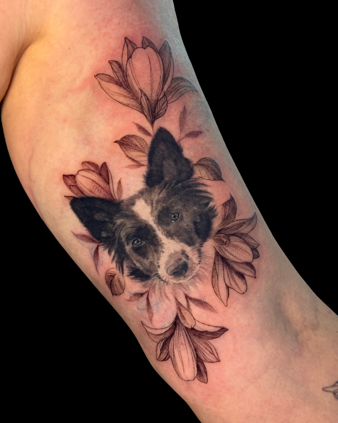Pet Portraits & Pawprints