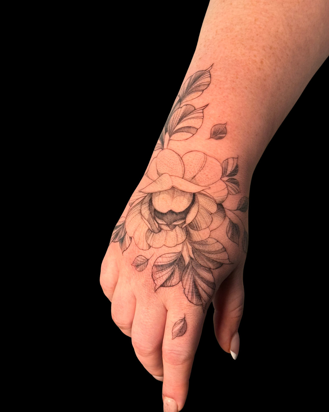 Fine Line Florals