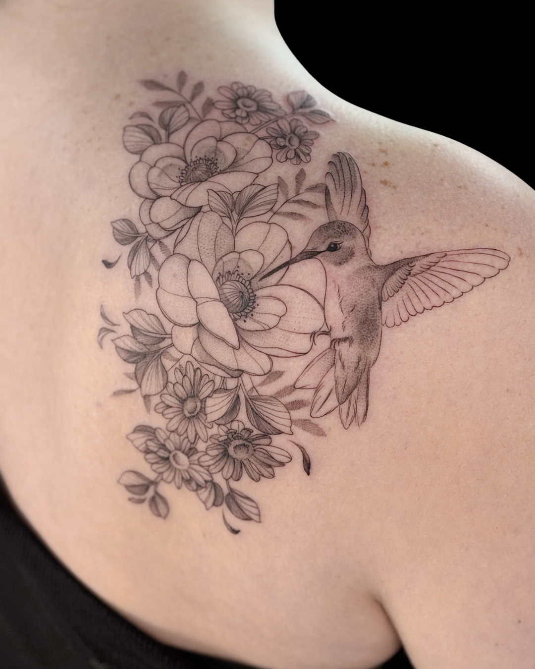 Animals & Nature