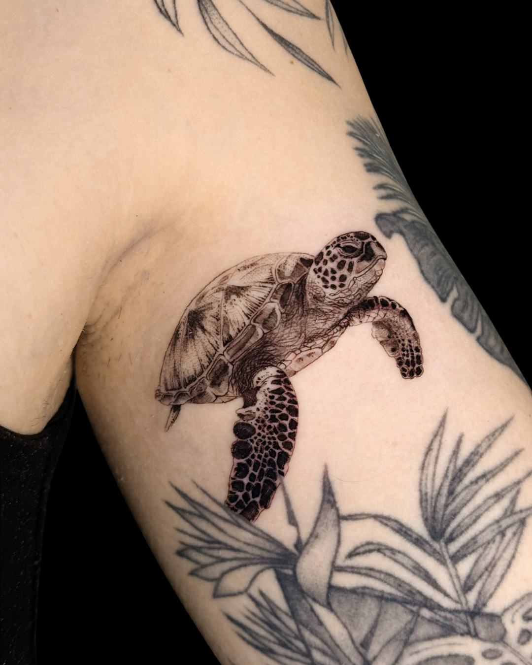 Animals & Nature