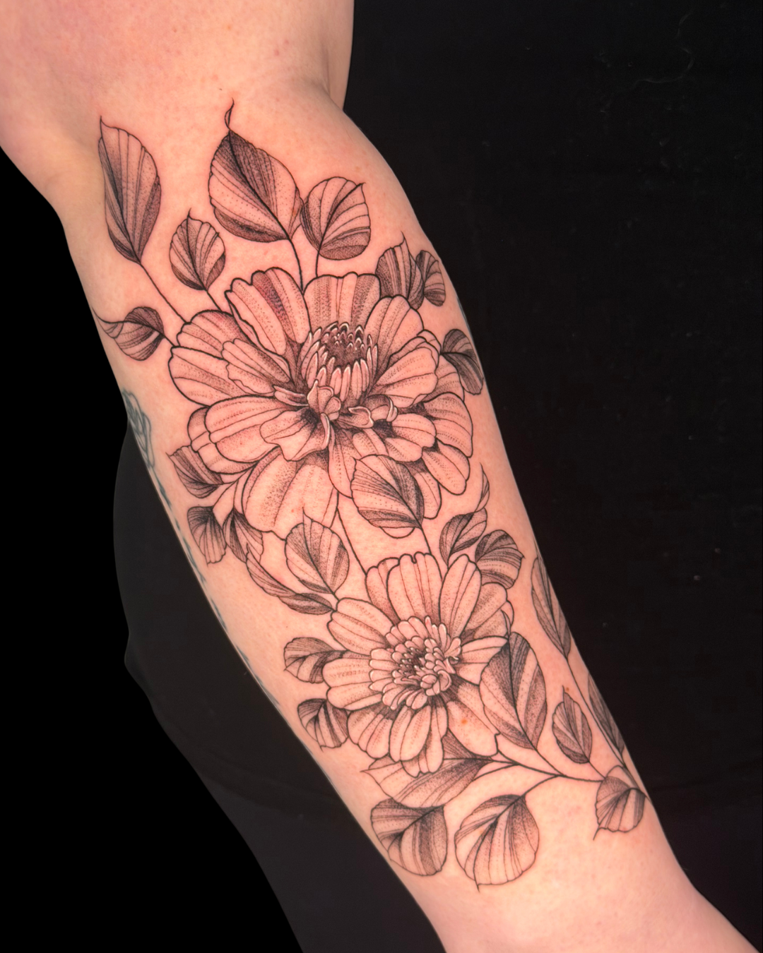 Fine Line Florals