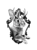 Jackelope