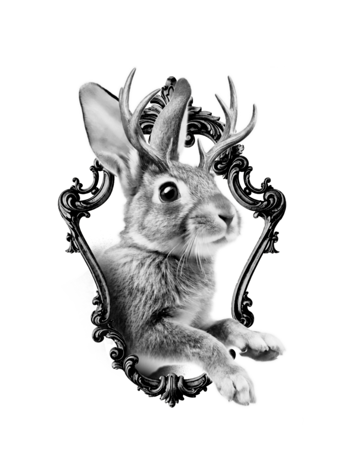 Jackelope