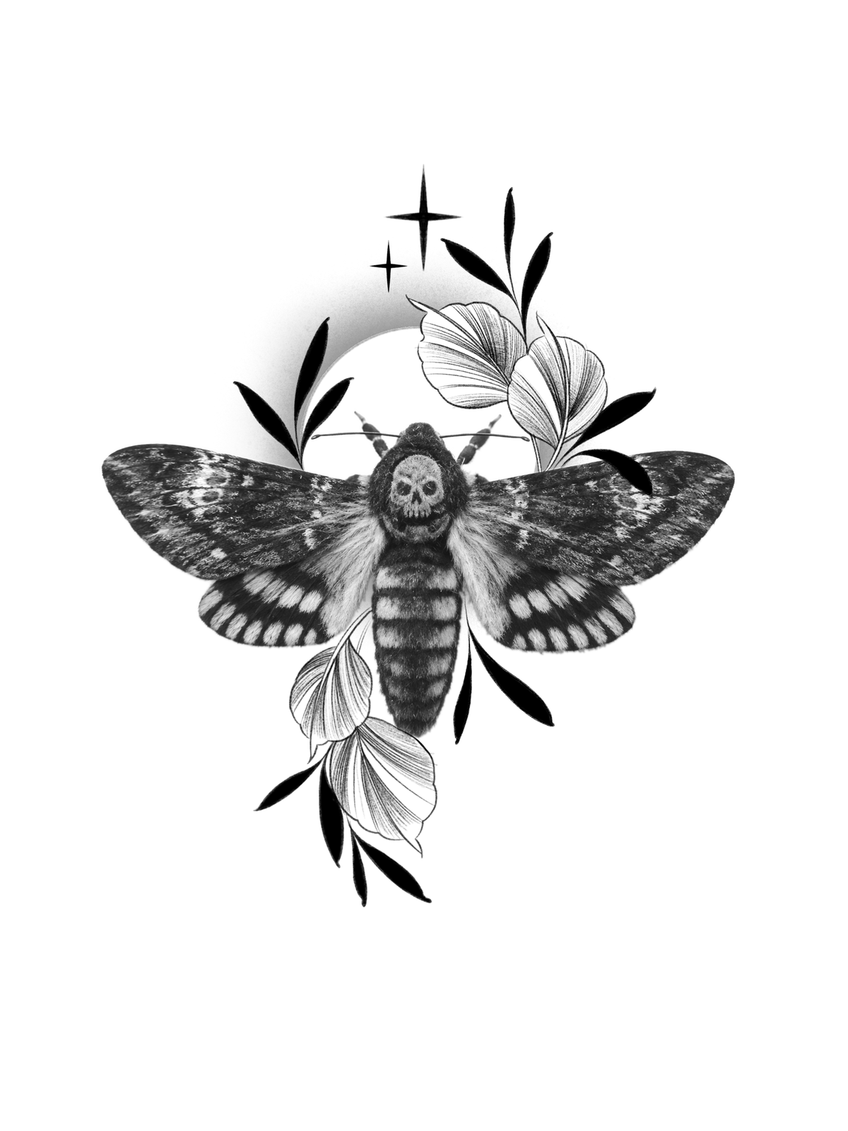 Moth