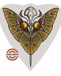 Nouveau Moth flash design by Cortney Norton