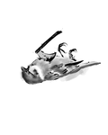 Dead Bird #3