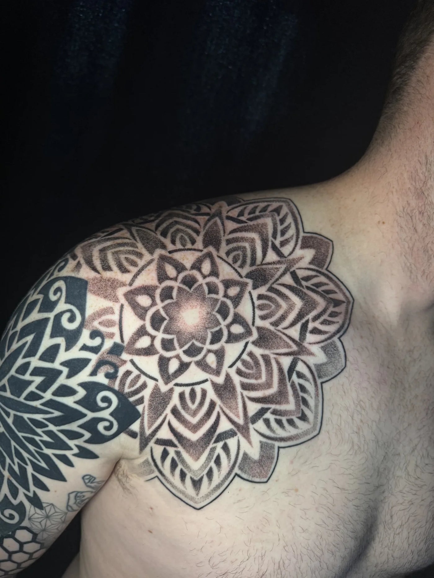 Ornamental
