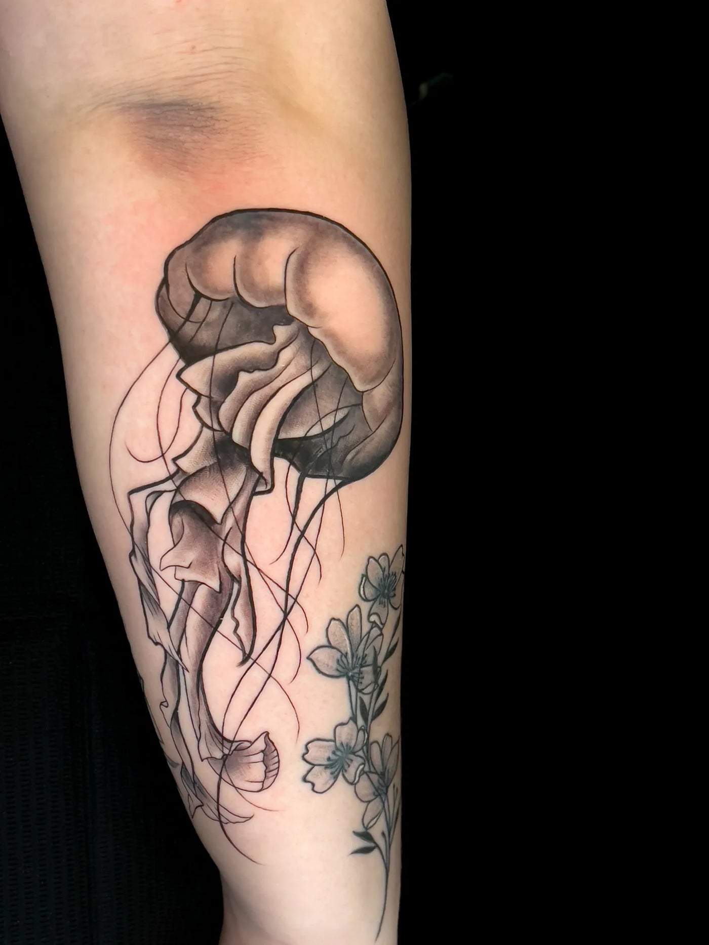 Illustrative Black & Gray