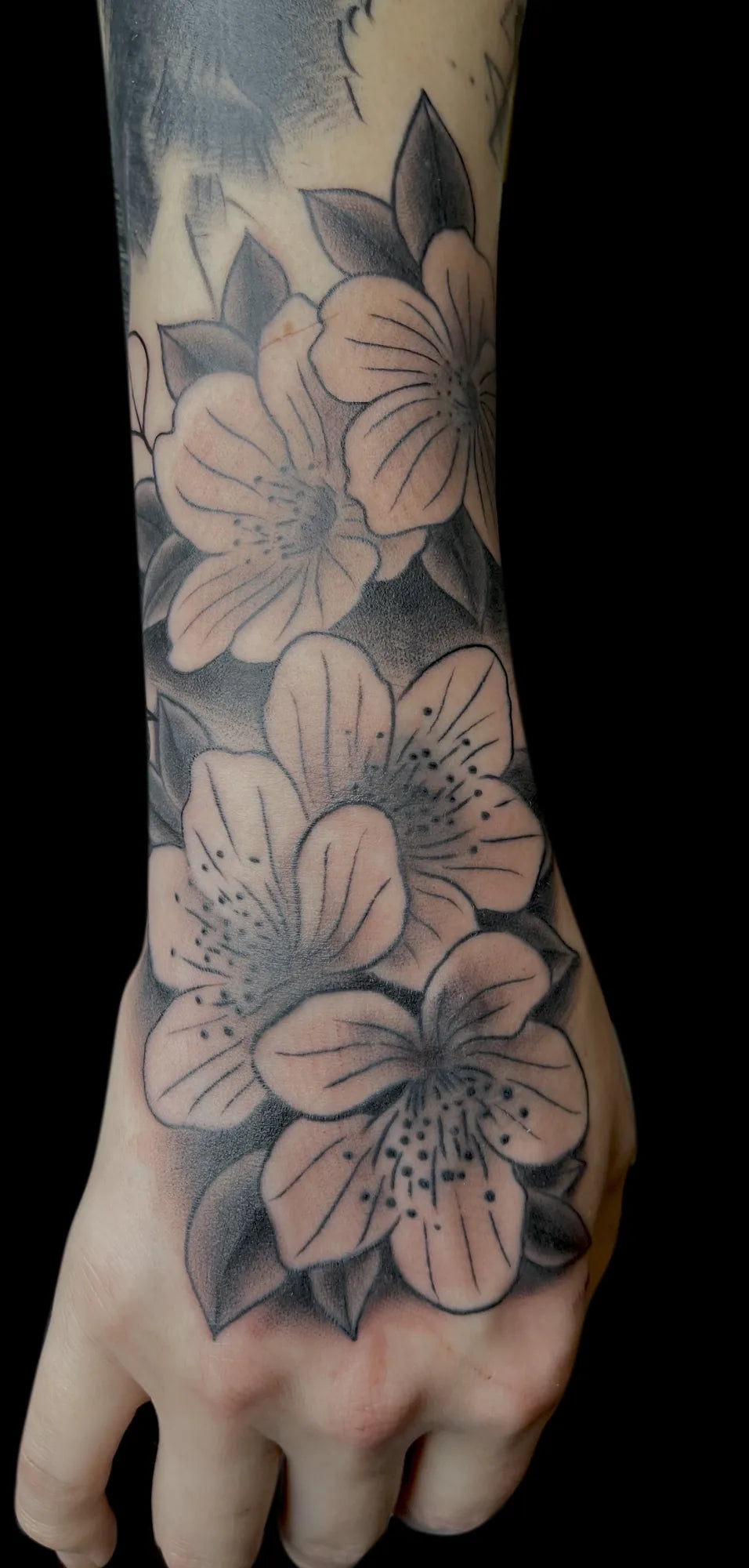 Illustrative Black & Gray