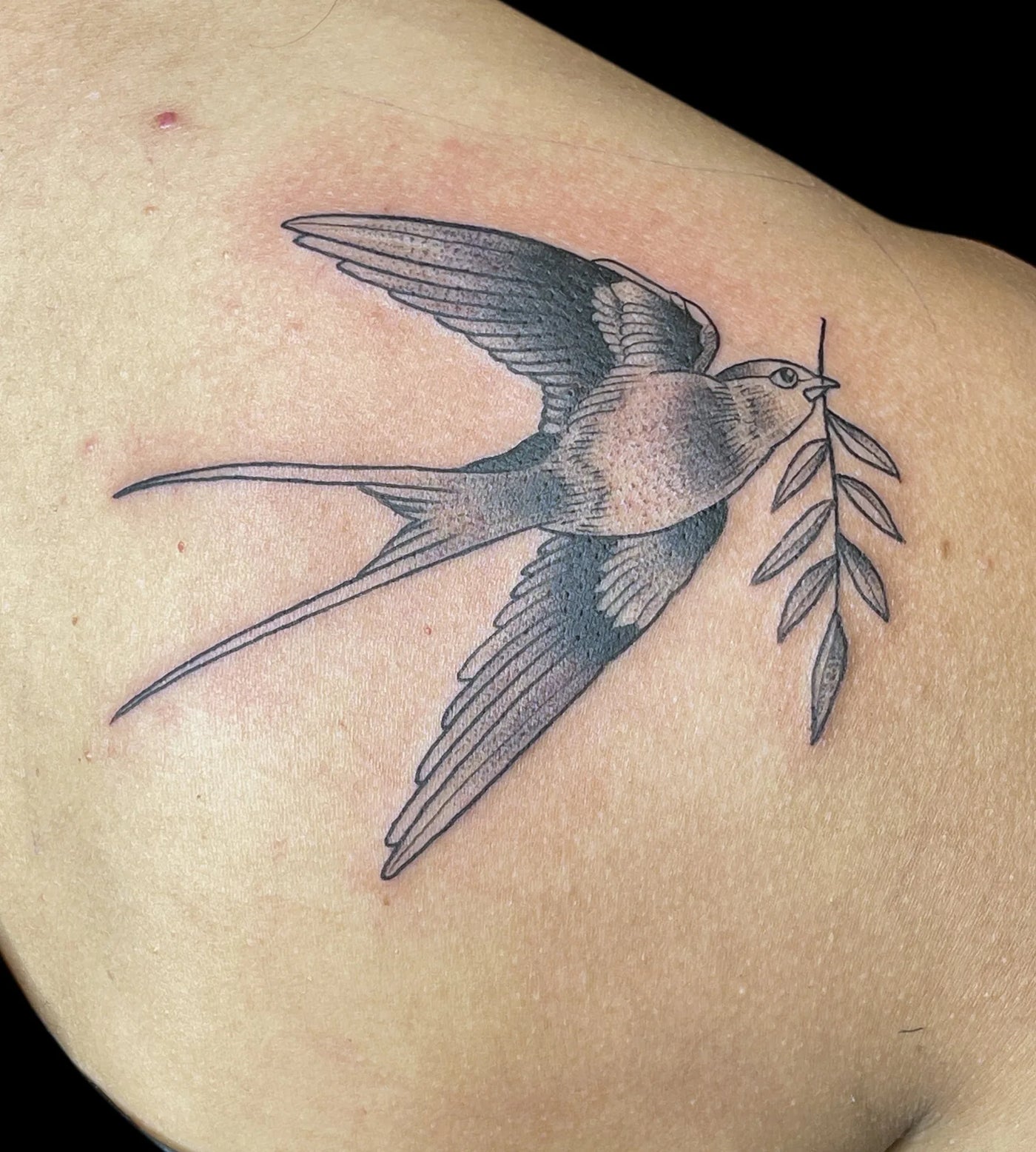 Illustrative Black & Gray