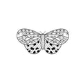 Butterfly flash design by Amber Grey