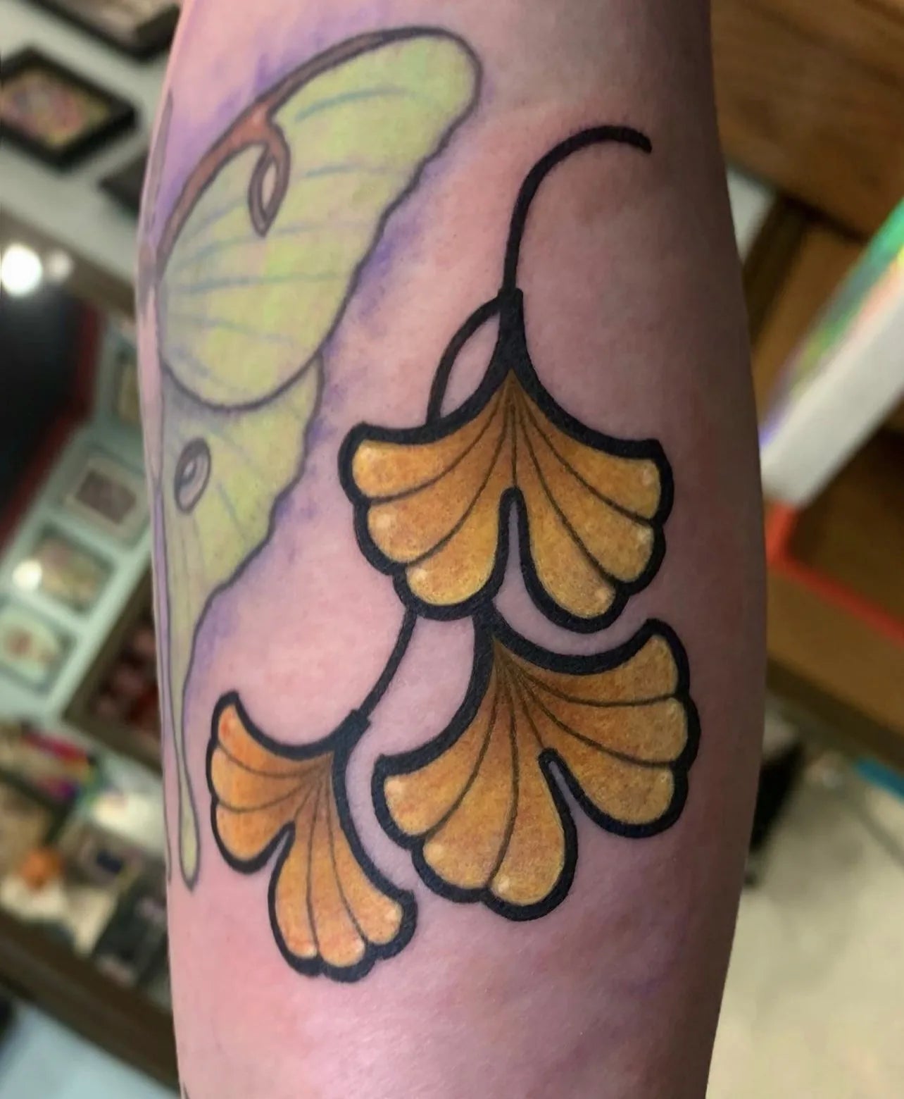 Gingko Leaf