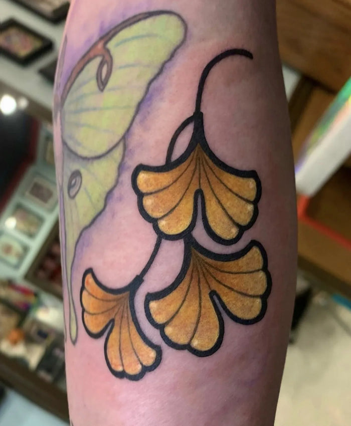 Gingko Leaf