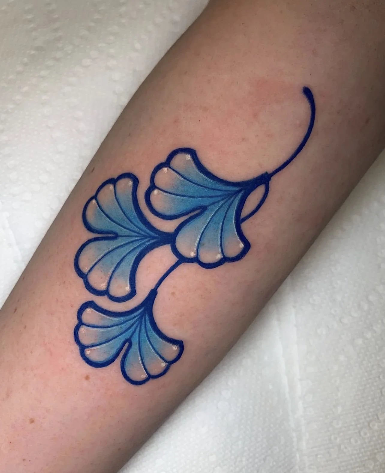Gingko Leaf