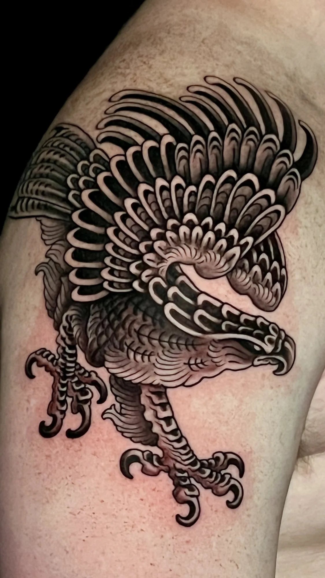 Illustrative Black & Gray