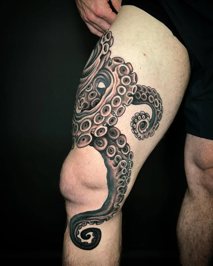 Illustrative Black & Gray