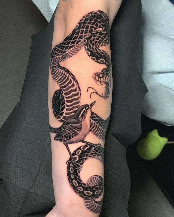 Illustrative Black & Gray