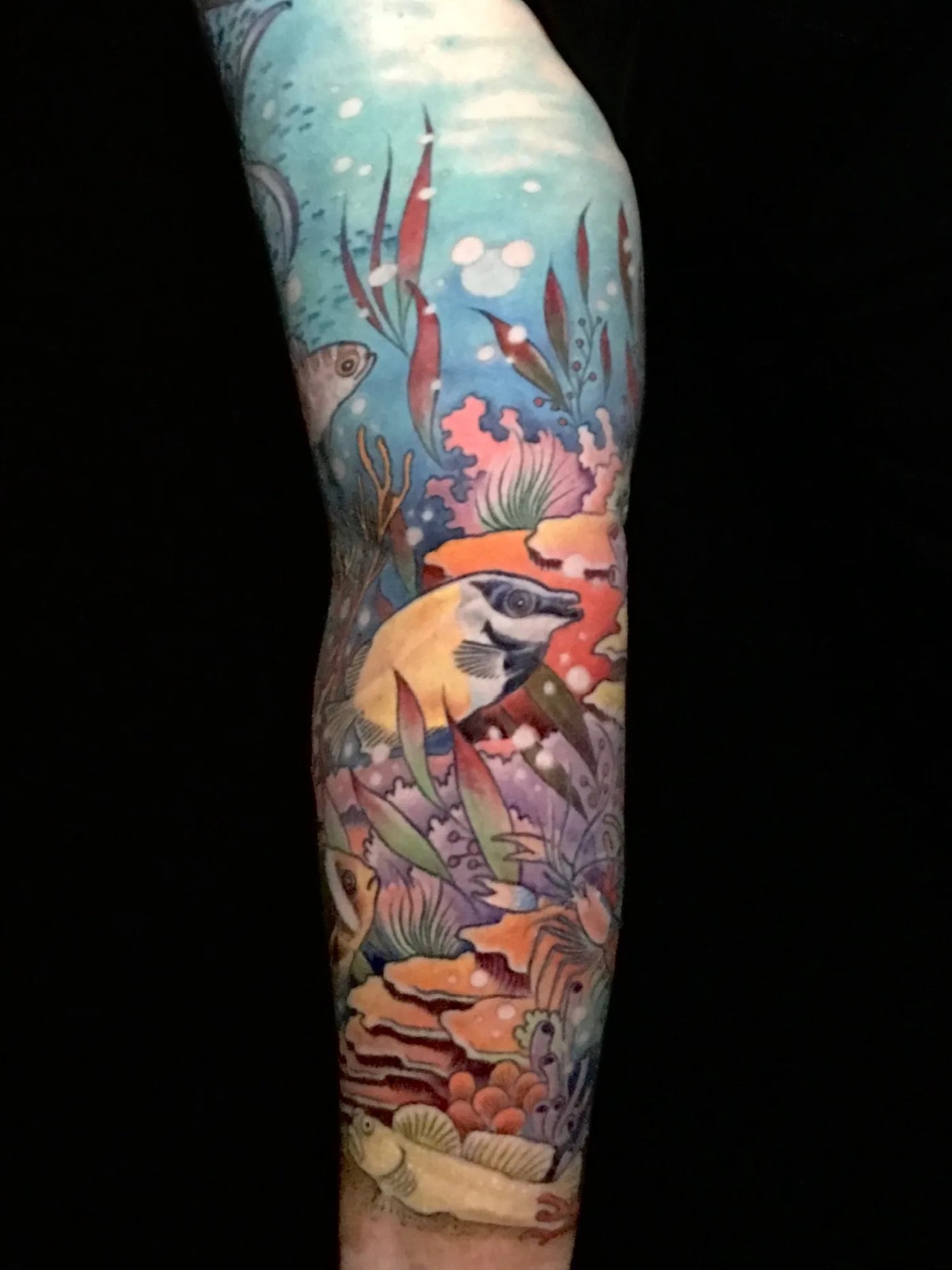 Illustrative Color
