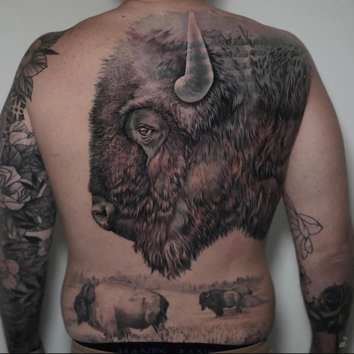 Buffalo
