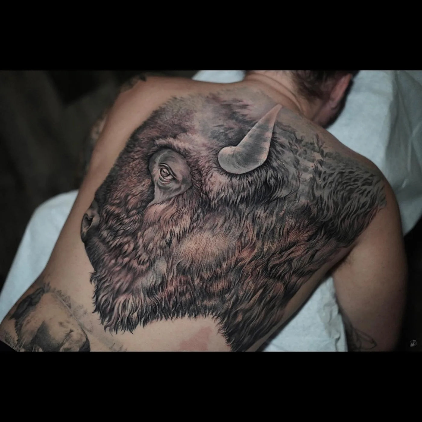Buffalo