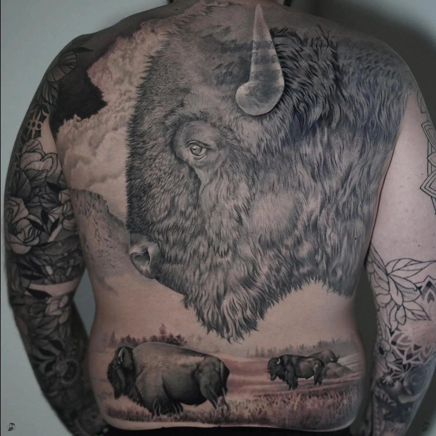 Buffalo