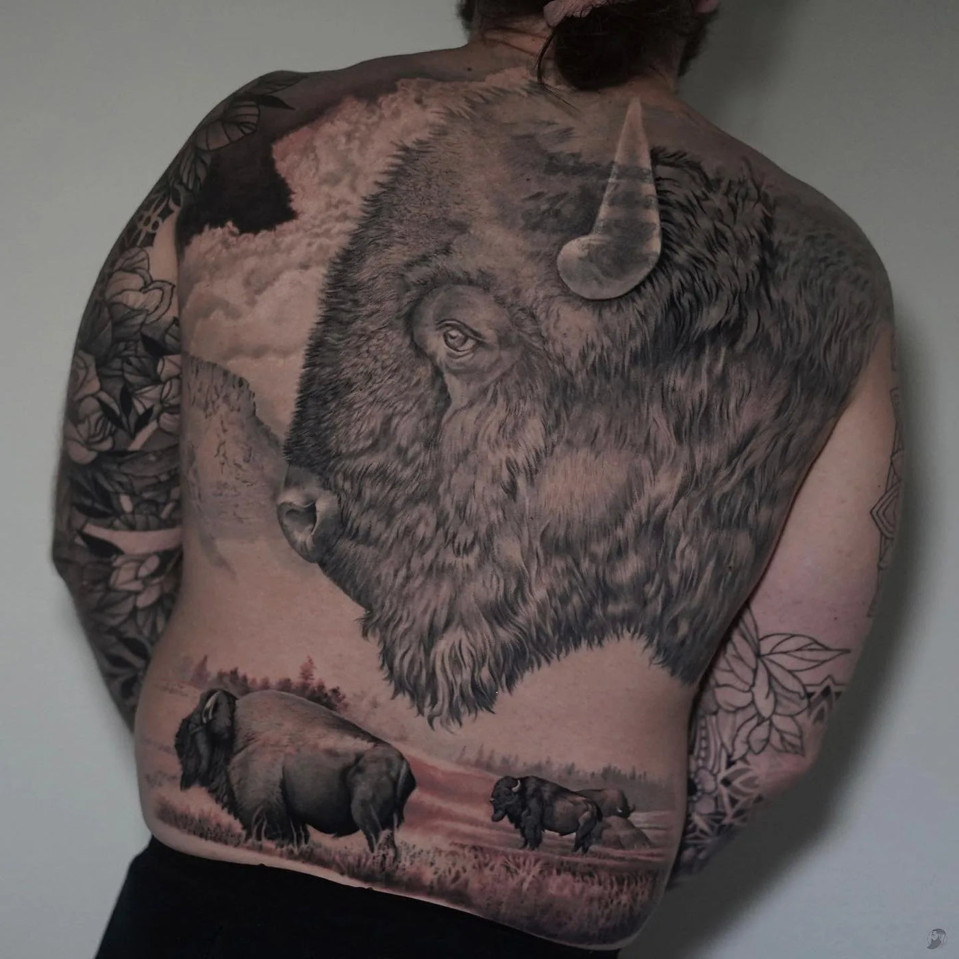 Buffalo