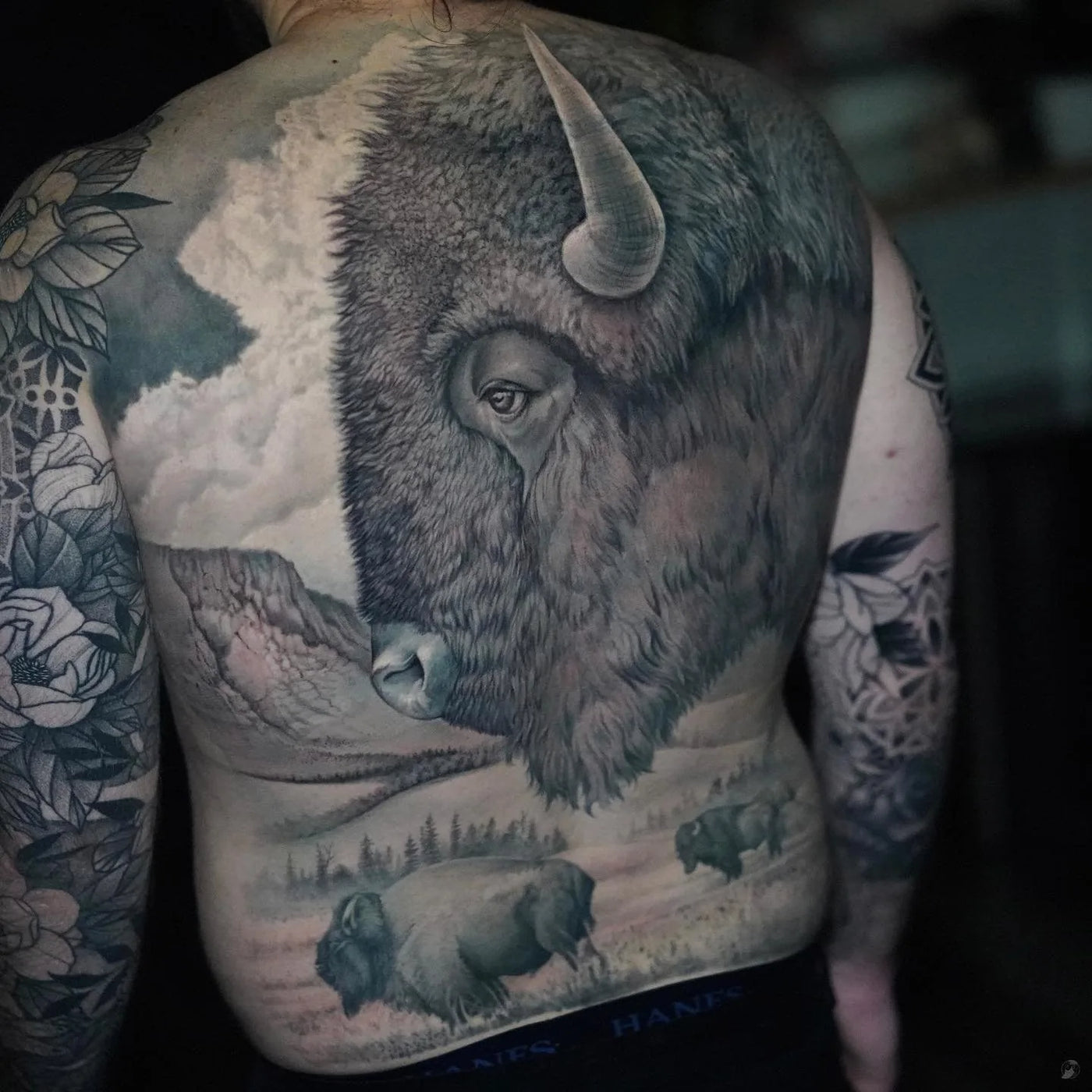 Buffalo