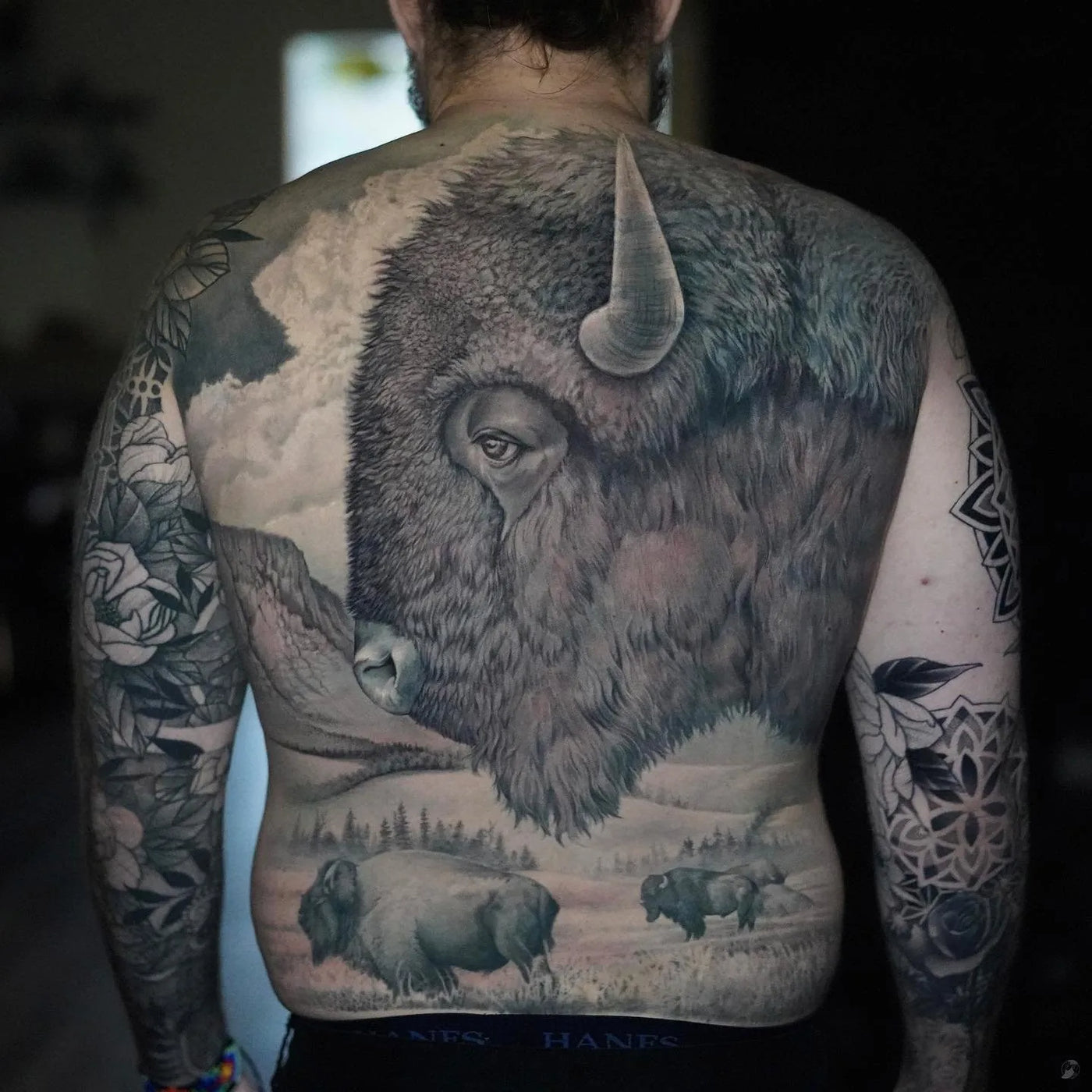 Buffalo