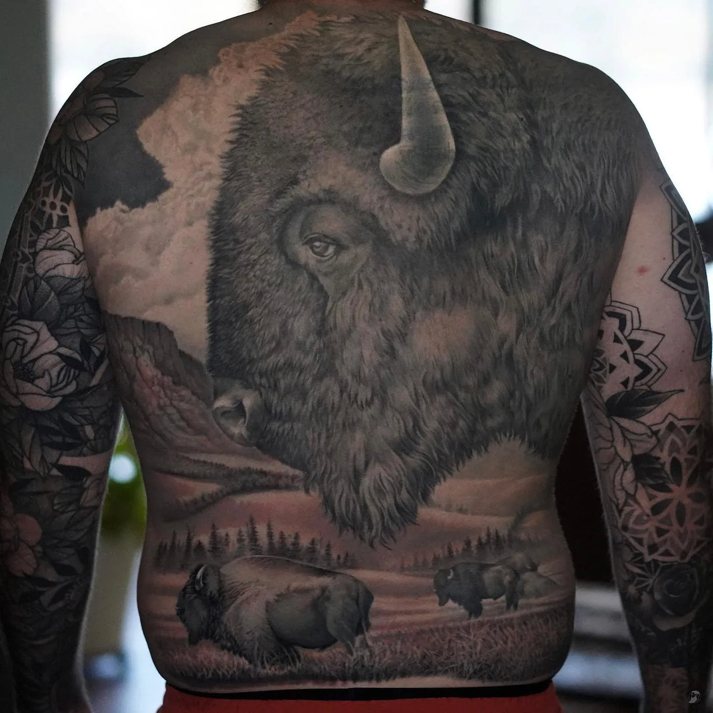 Buffalo