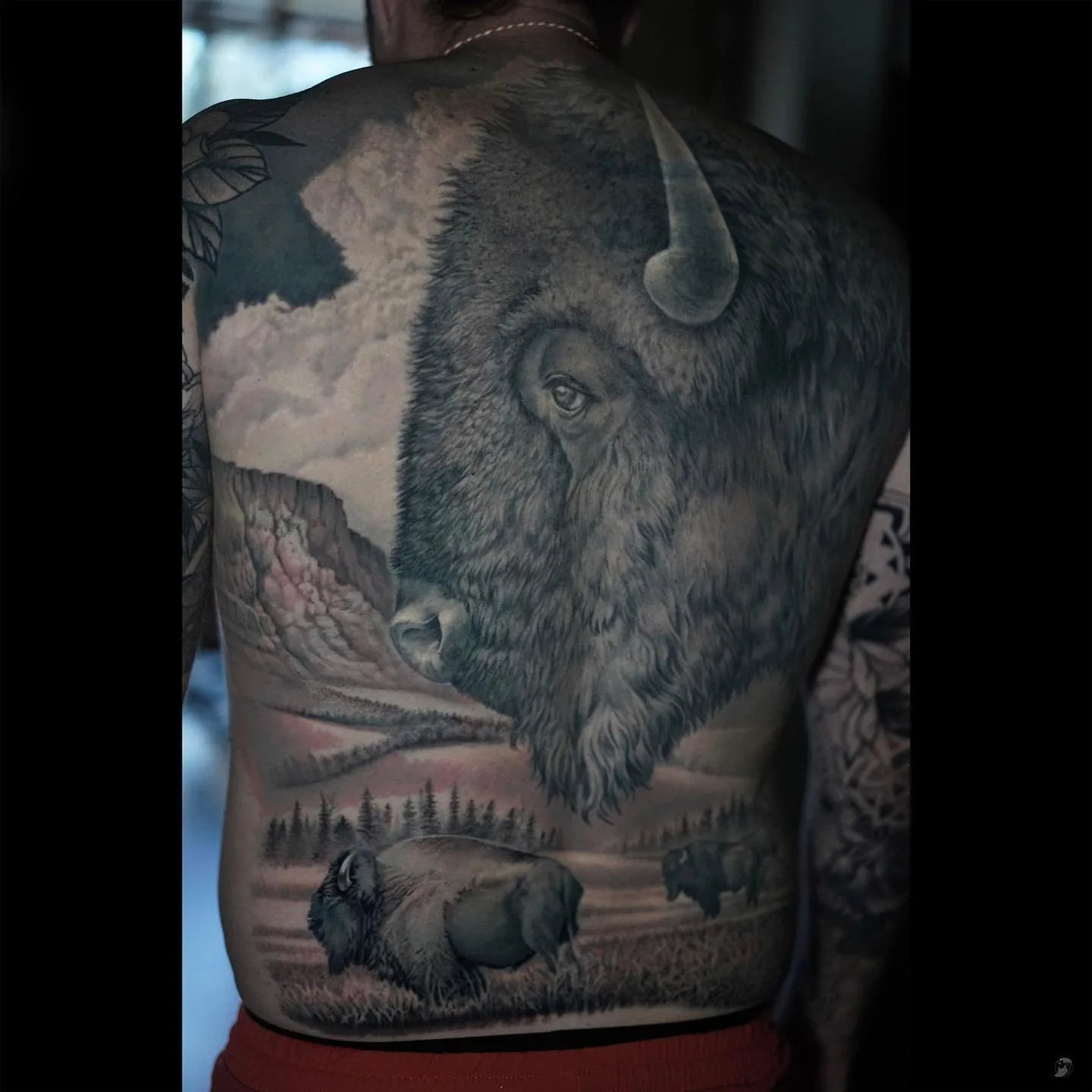 Buffalo
