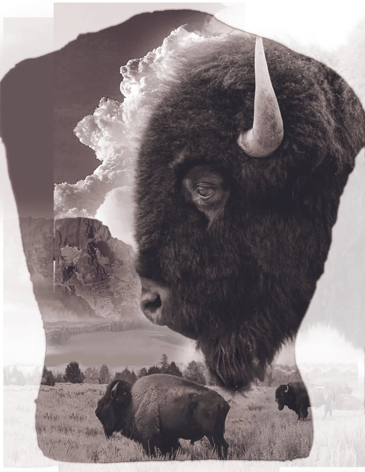 Buffalo