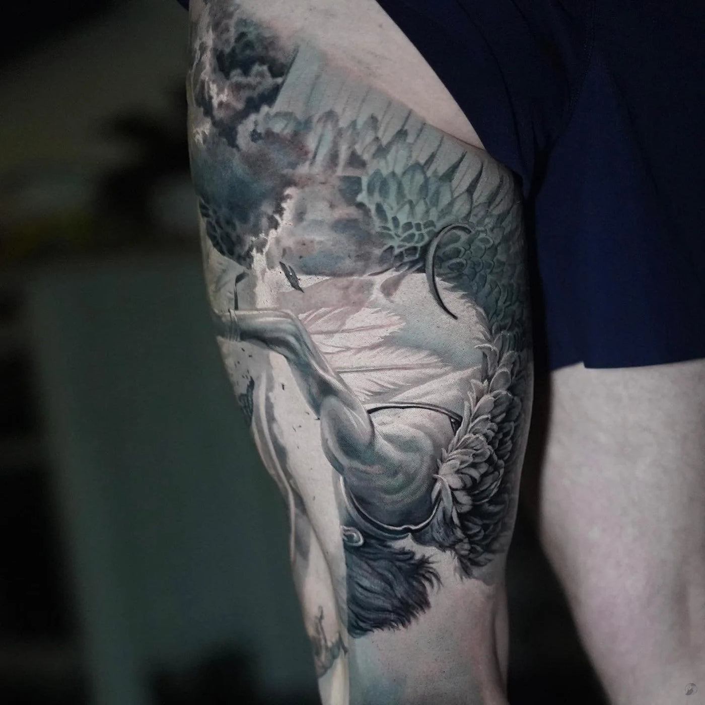 Icarus Leg Sleeve