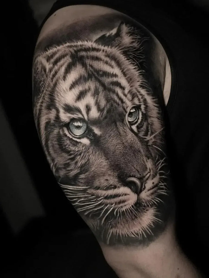 Nature & Animals