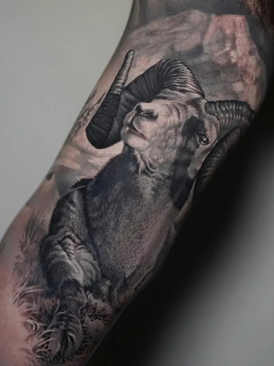 Nature & Animals