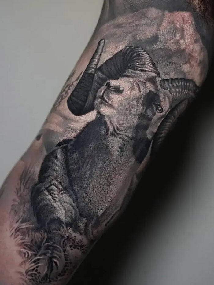Nature & Animals