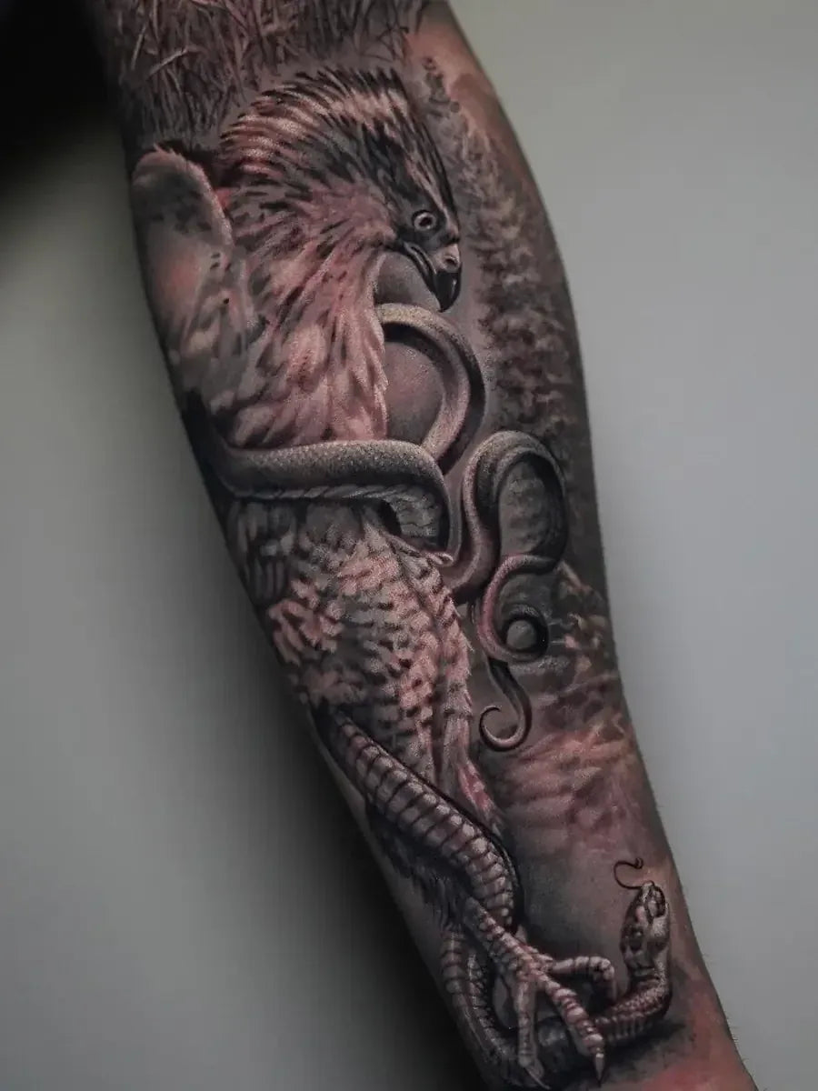 Nature & Animals