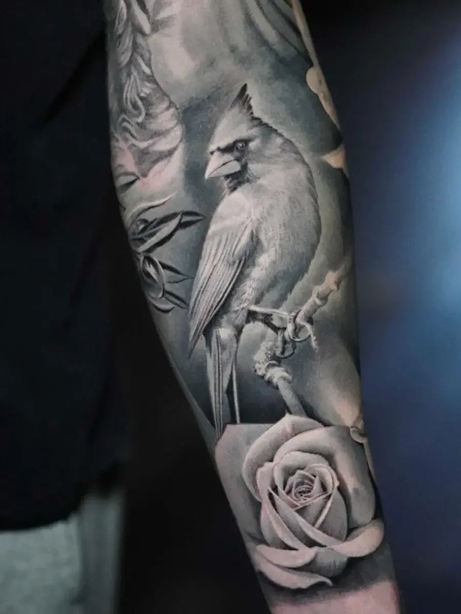 Nature & Animals