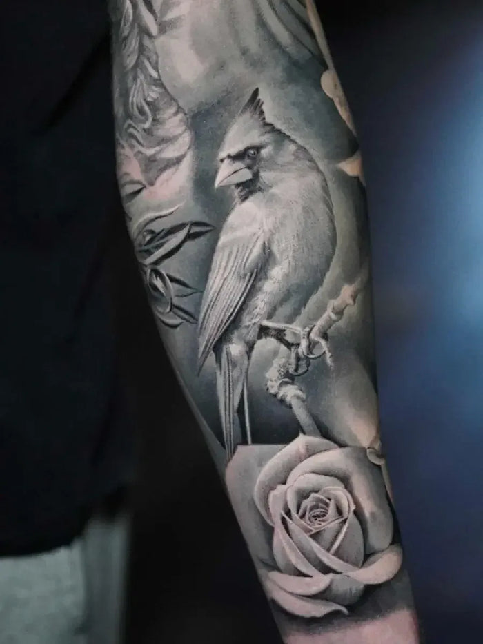 Nature & Animals