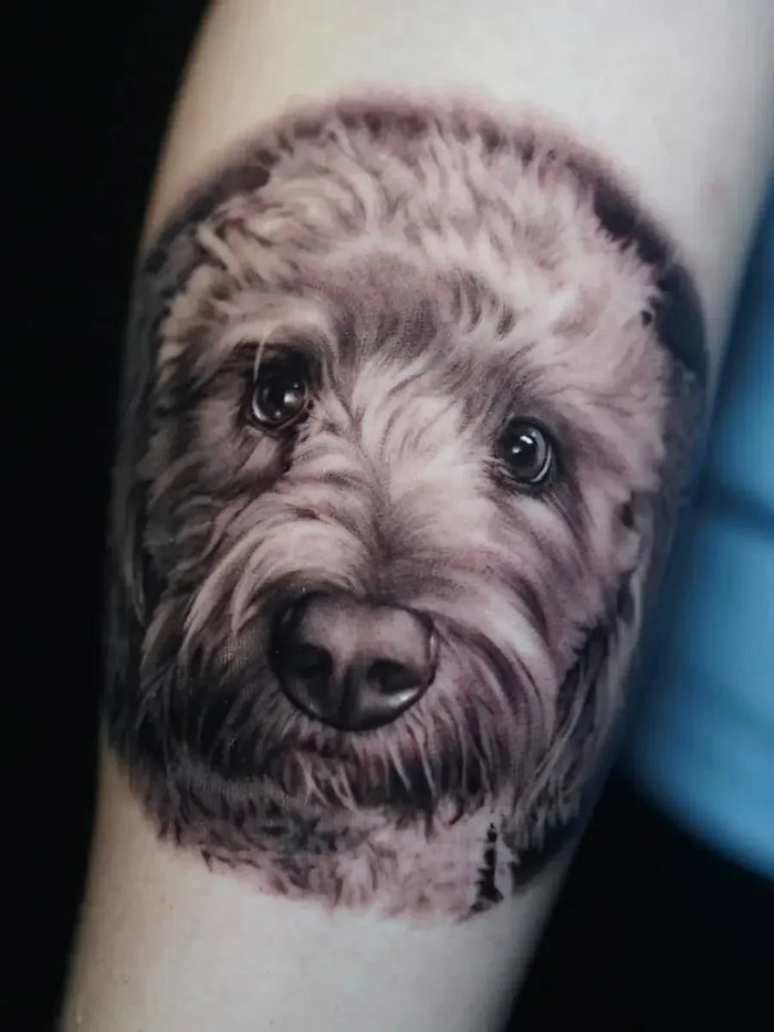 Pet Portraits