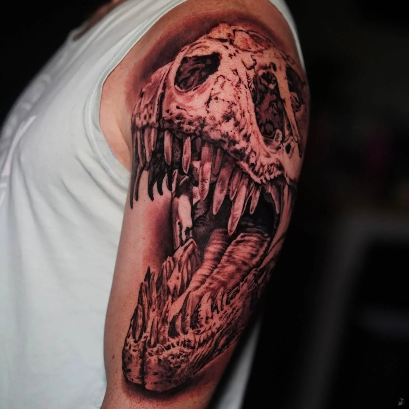 T. rex