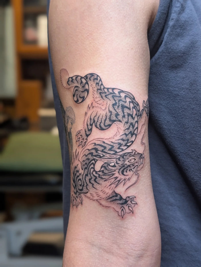 Fine Line/ Stipple
