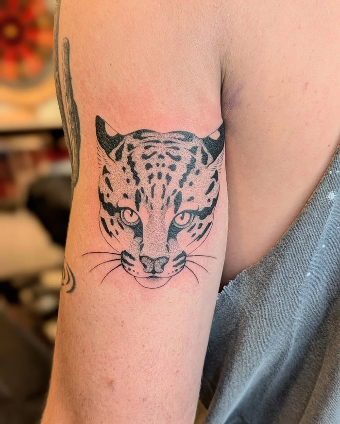 Fine Line/ Stipple