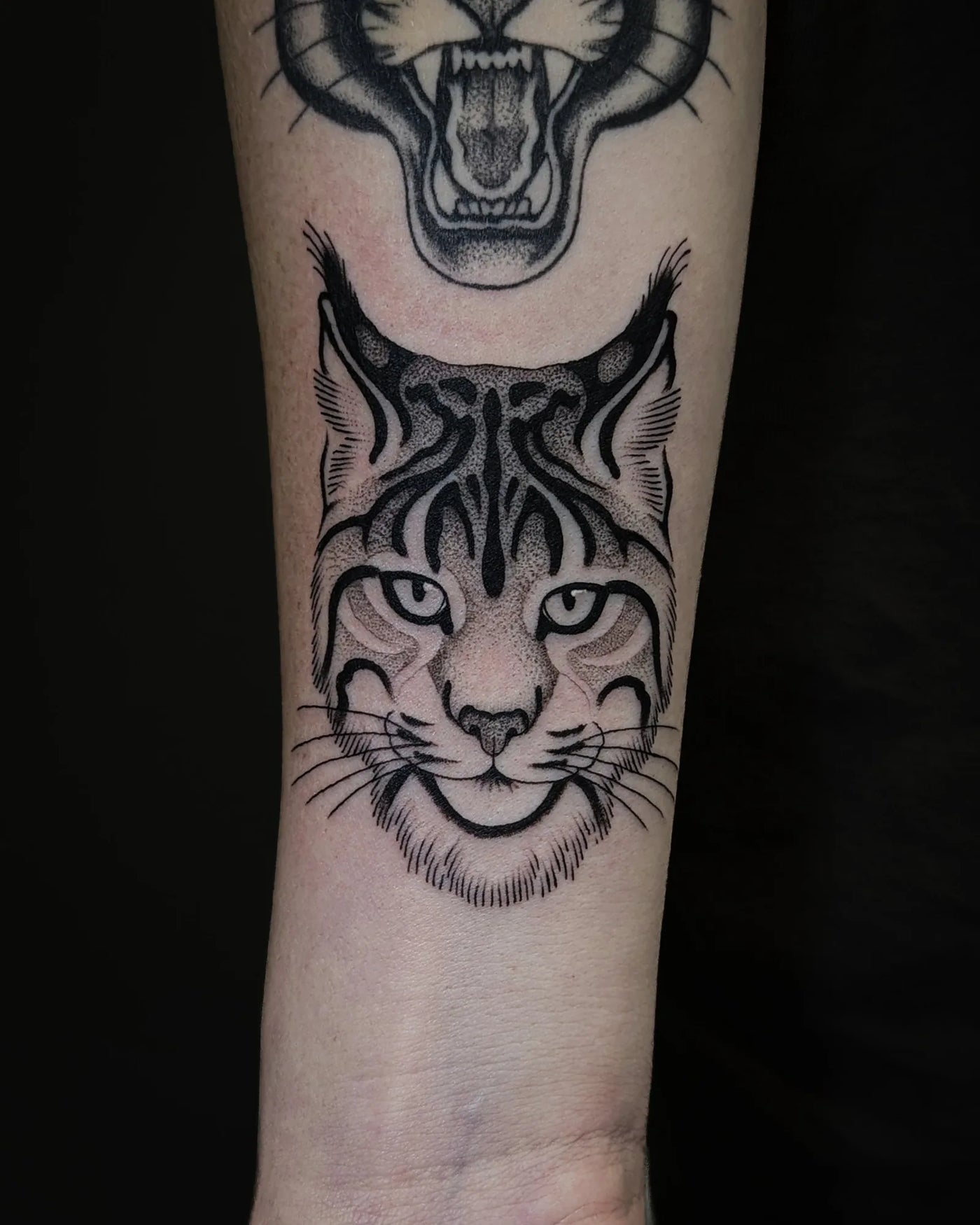 Fine Line/ Stipple