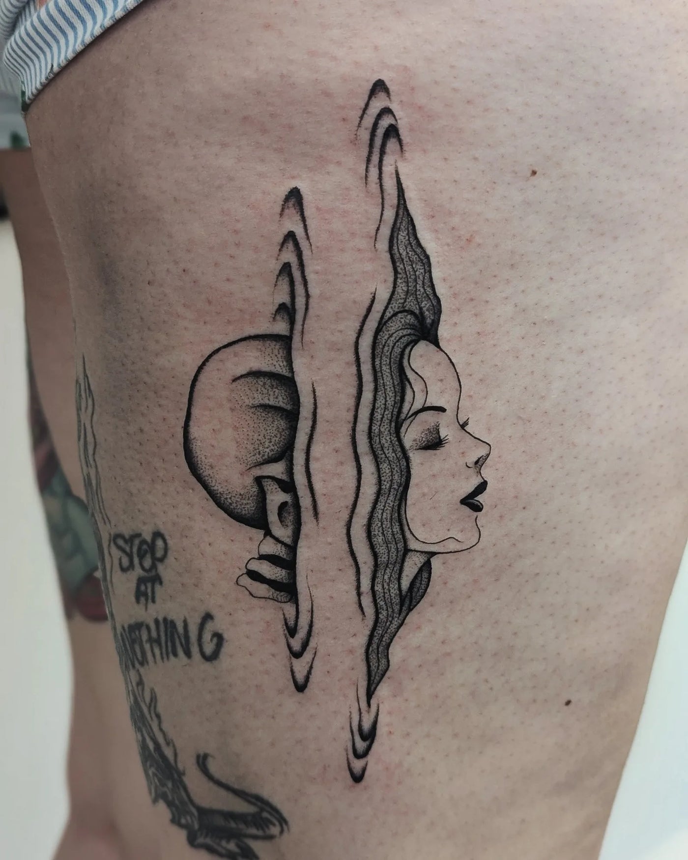 Fine Line/ Stipple