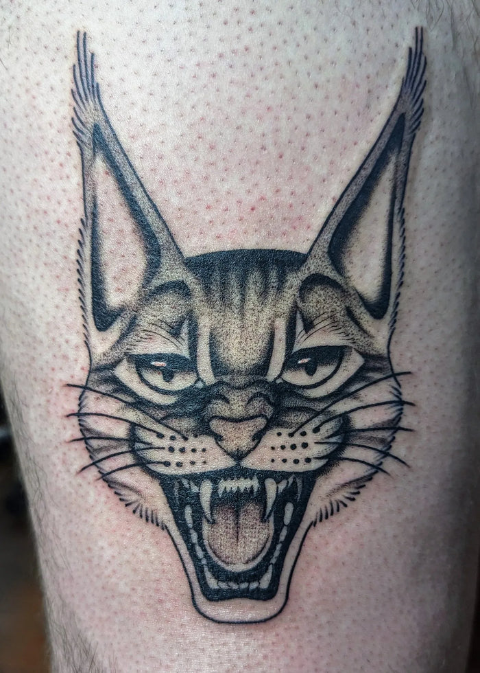 Fine Line/ Stipple