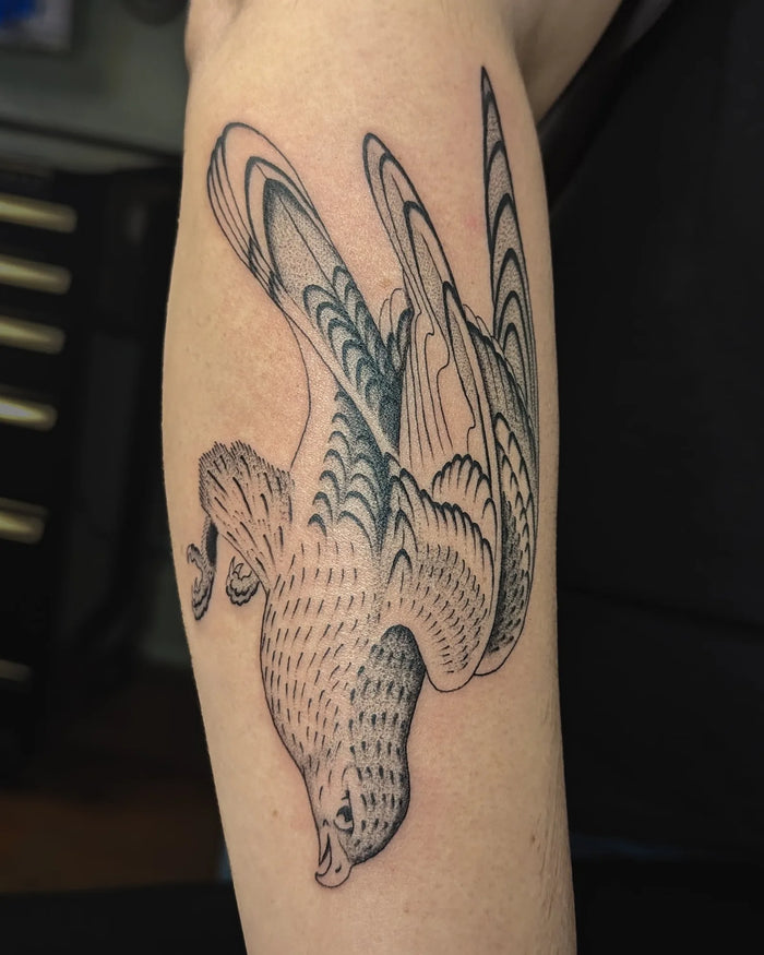Fine Line/ Stipple
